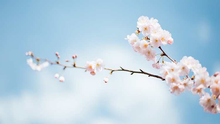 CA88(中国区)唯一官方网站