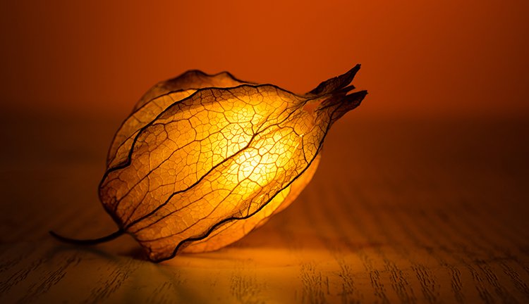 CA88(中国区)唯一官方网站