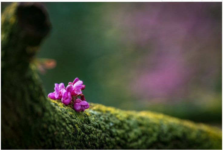 CA88(中国区)唯一官方网站